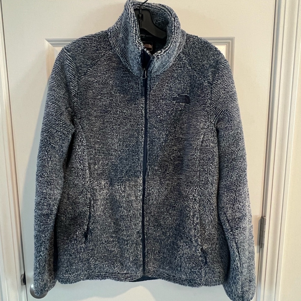 The North Face Blue Fleece Jacket